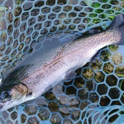 雨のフィッシングパーク高島の泉